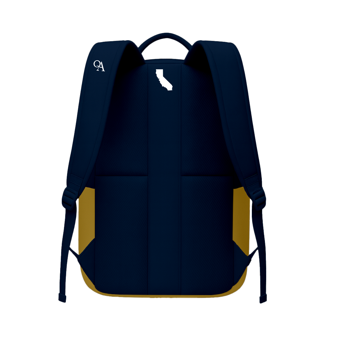 RCA Fighting Irish Back Pack