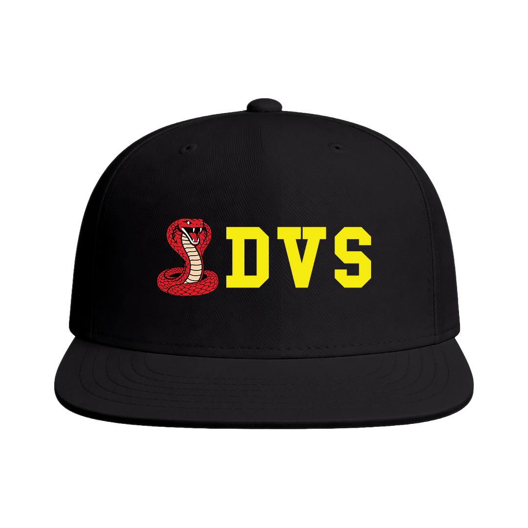 Desert Valley Vipers Softball Snapback Hat