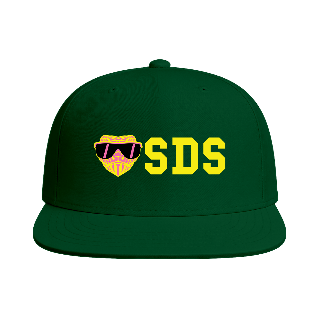 SD Vipers Softball Snapback Hat