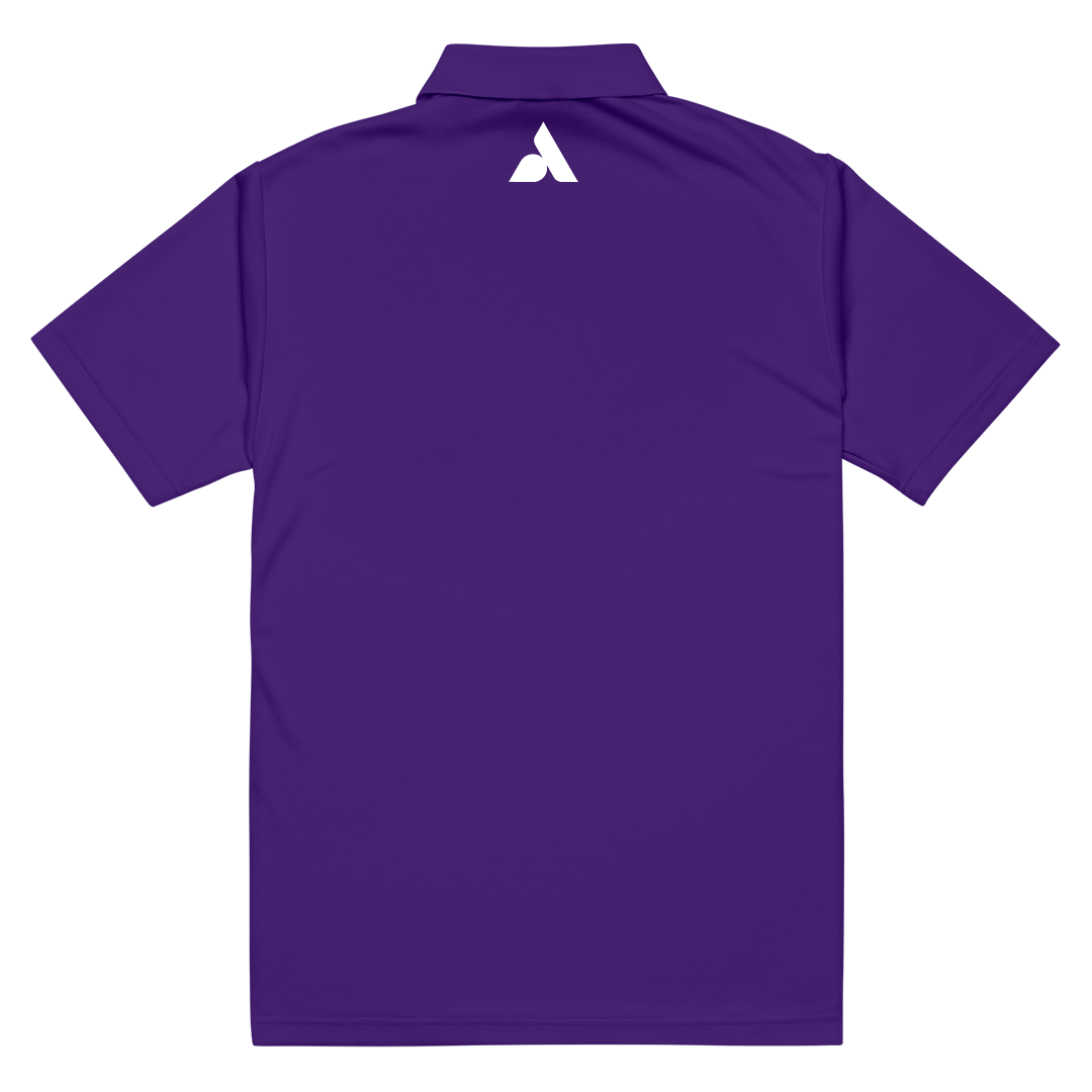 Valkyries Riverside Polo